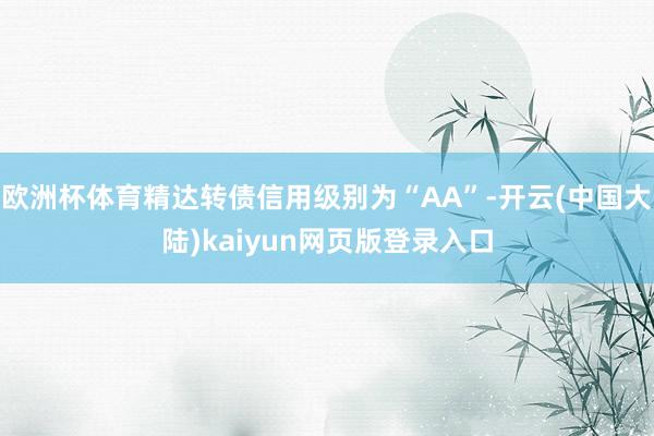 欧洲杯体育精达转债信用级别为“AA”-开云(中国大陆)kaiyun网页版登录入口