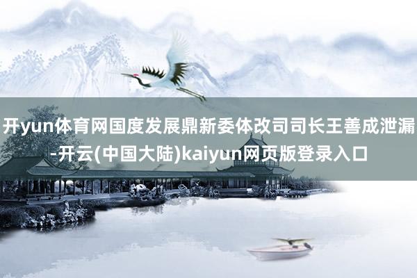 开yun体育网国度发展鼎新委体改司司长王善成泄漏-开云(中国大陆)kaiyun网页版登录入口