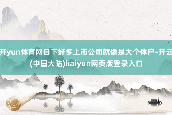 开yun体育网目下好多上市公司就像是大个体户-开云(中国大陆)kaiyun网页版登录入口