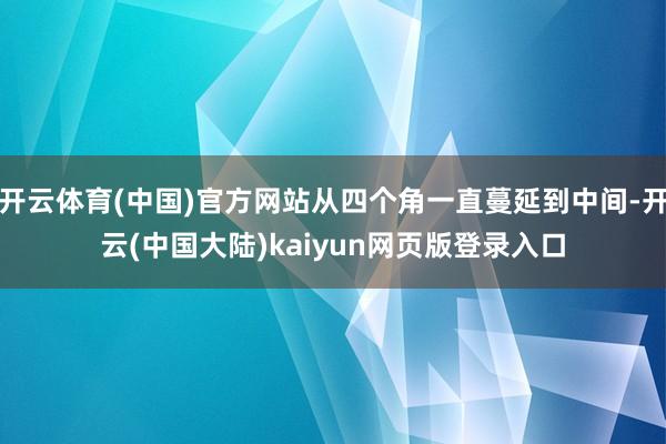 开云体育(中国)官方网站从四个角一直蔓延到中间-开云(中国大陆)kaiyun网页版登录入口